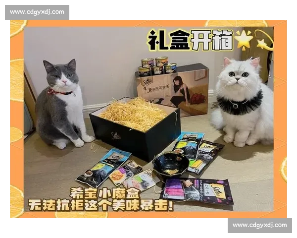 淮安球迷专属福利！观赛包暗藏惊喜，实用与美味双重暴击