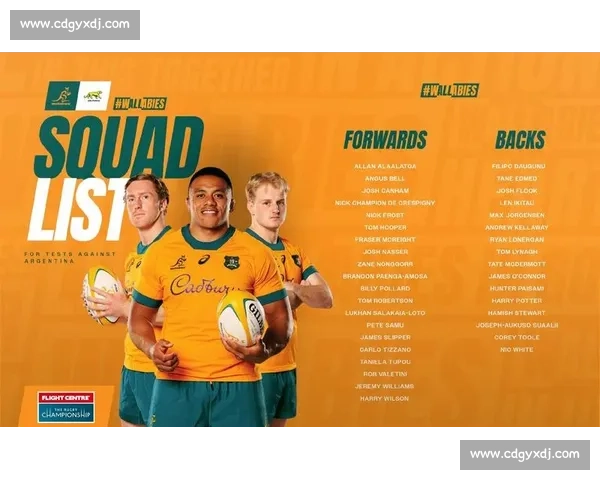 四国赛绝杀时刻:澳大利亚 28-24 逆转阿根廷 四国赛绝杀时刻:澳大利亚 28-24 逆转阿根廷