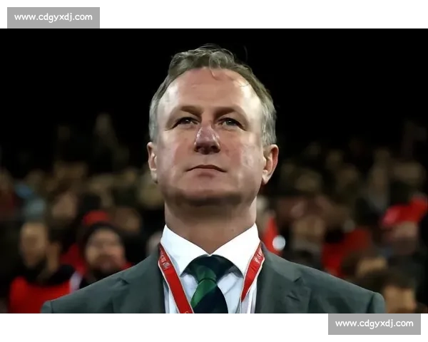 北爱主帅力挺德国:核心谢幕仍具争冠底气 北爱主帅力挺德国:核心谢幕仍具争冠底气